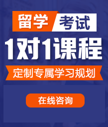 大鸡巴干骚穴视频留学考试一对一精品课